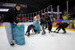 Hannover Indians , Eishockey