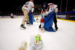 Hannover Indians , Eishockey