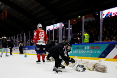 Hannover Indians , Eishockey