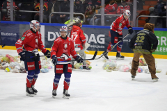 Hannover Indians , Eishockey