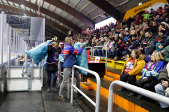 Hannover Indians , Eishockey