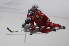 Hannover Scorpions , Eishockey