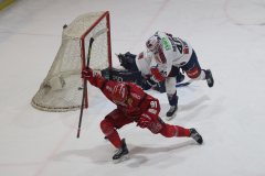 Hannover Scorpions , Eishockey