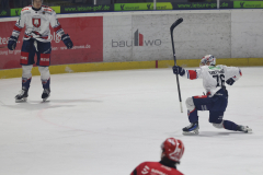 Hannover Scorpions , Eishockey