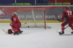 Hannover Scorpions , Eishockey