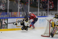 Hannover Indians , Eishockey