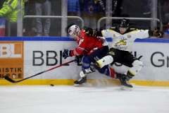 Hannover Indians , Eishockey