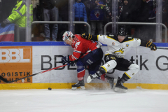 Hannover Indians , Eishockey